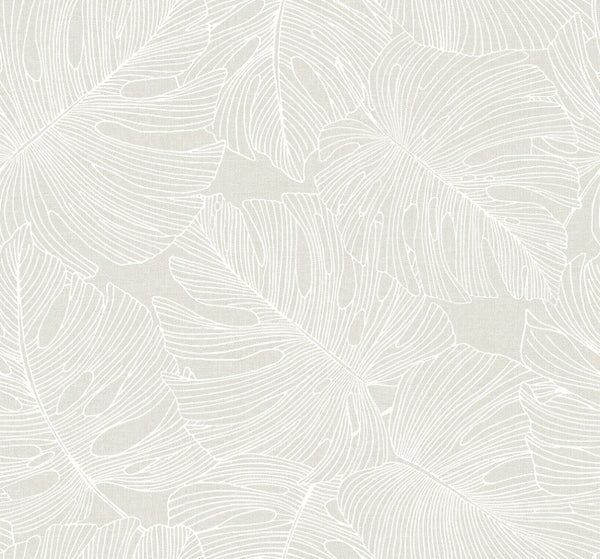 Pacific Coast - Driftwood Mist | Malibu Wallcovering