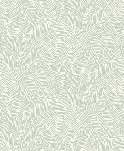 Lush 244 - Sage Mist | Malibu Wallcovering