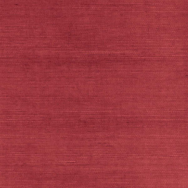 Sisal | Phillipe Romano