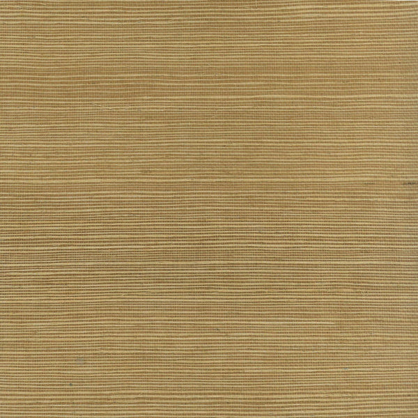Sisal | Phillipe Romano