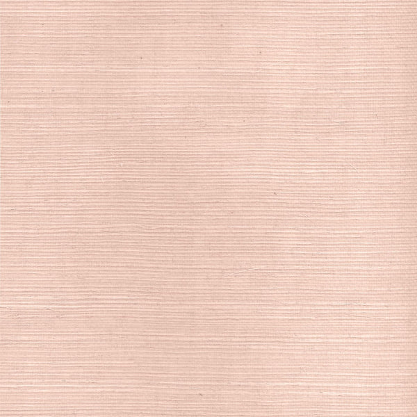 Sisal | Phillipe Romano