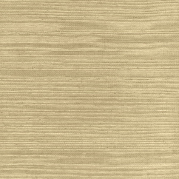 Sisal | Phillipe Romano