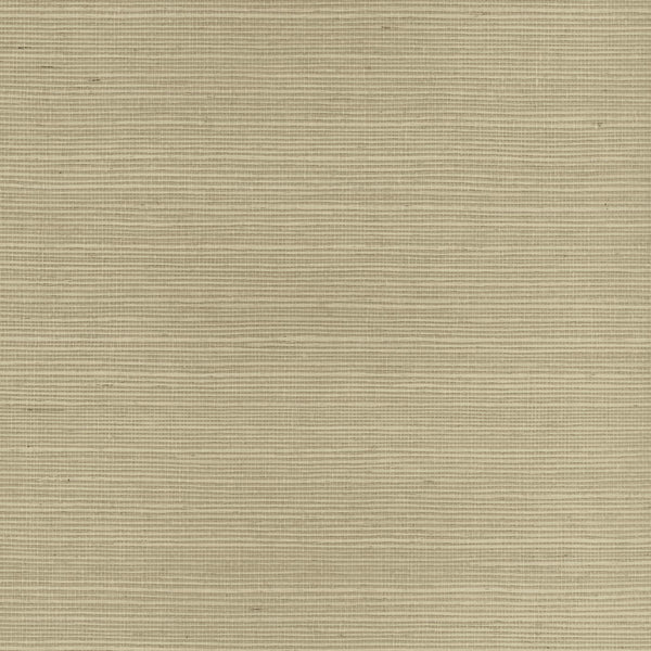 Sisal | Phillipe Romano
