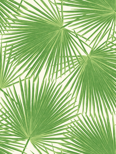 Aruba - Fern Green and White Wallcovering | Malibu Wallpaper