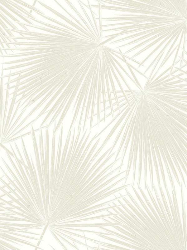 Aruba 251 - Dune Coast | Malibu Wallcovering
