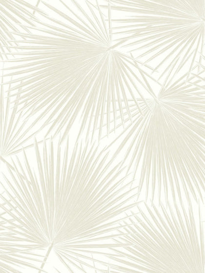 Aruba 251 - Dune Coast | Malibu Wallcovering