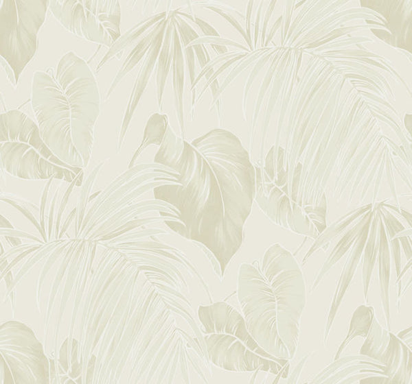 Aurora Mist - Driftwood Solstice | Malibu Wallcovering