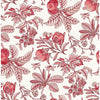 Cecilia, Red