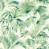 Manaus, Green