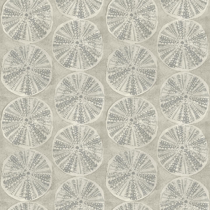 Sea Biscuit, Grey