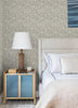 Sea Biscuit, Grey