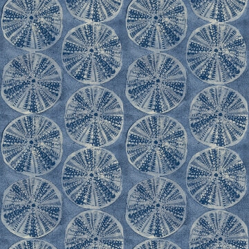 Sea Biscuit, Blue
