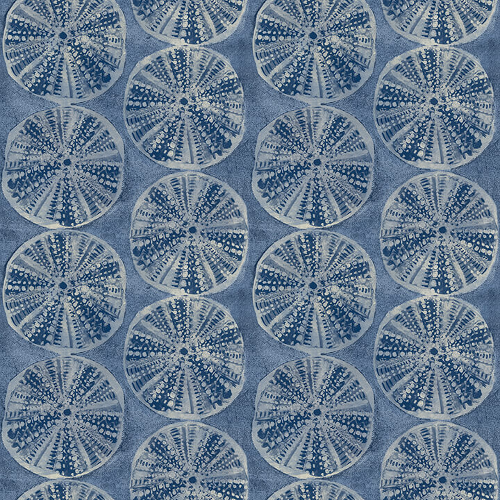 Sea Biscuit, Blue