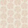 Sea Biscuit, Peach