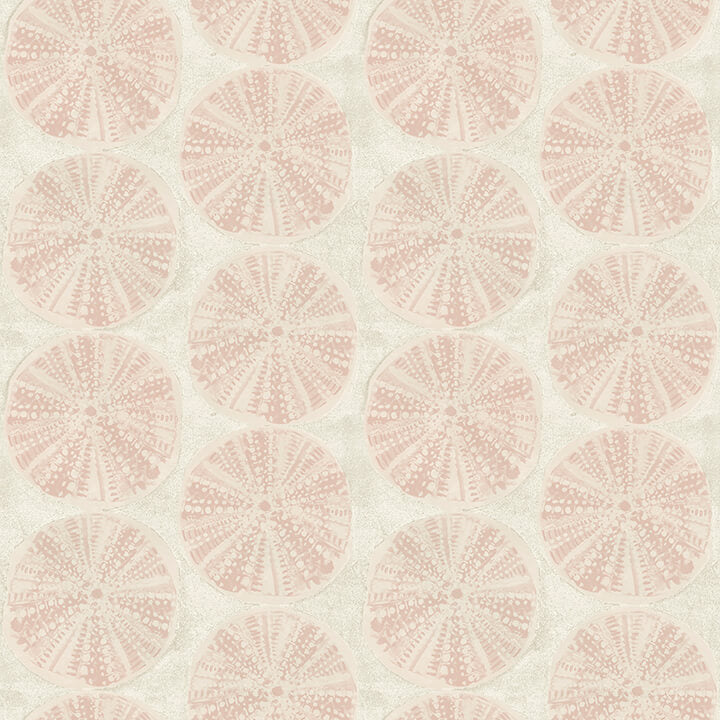 Sea Biscuit, Peach