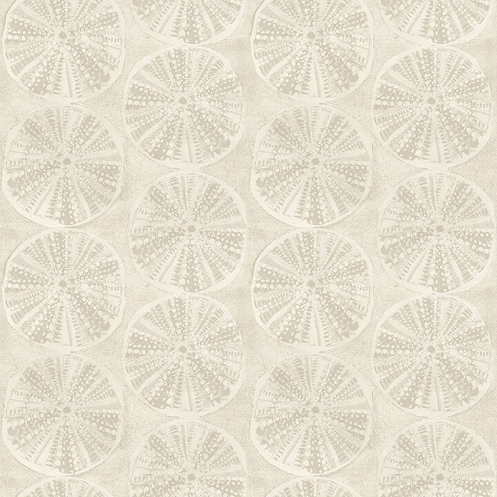 Sea Biscuit, Beige