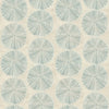 Sea Biscuit, Aqua