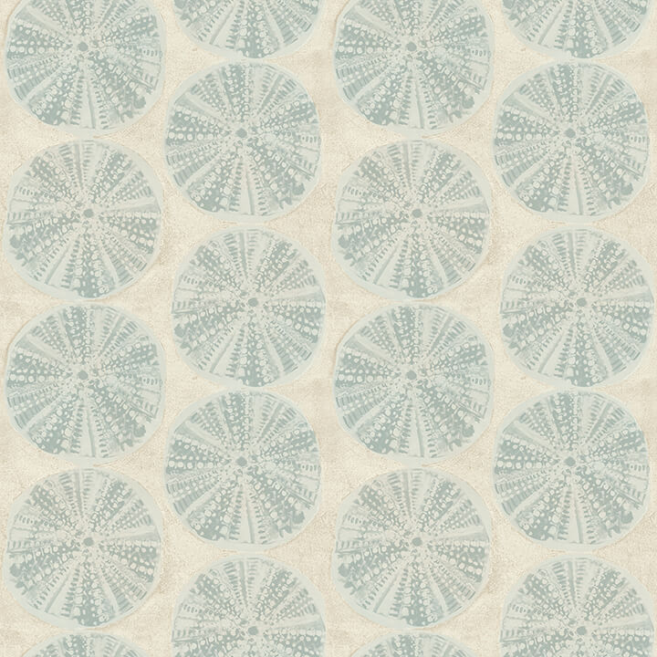 Sea Biscuit, Aqua