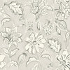 Plumeria, Grey