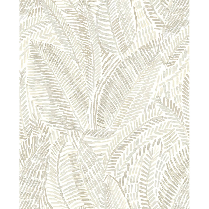 Fildia, Taupe
