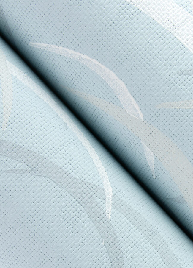 Kasia, Sky Blue