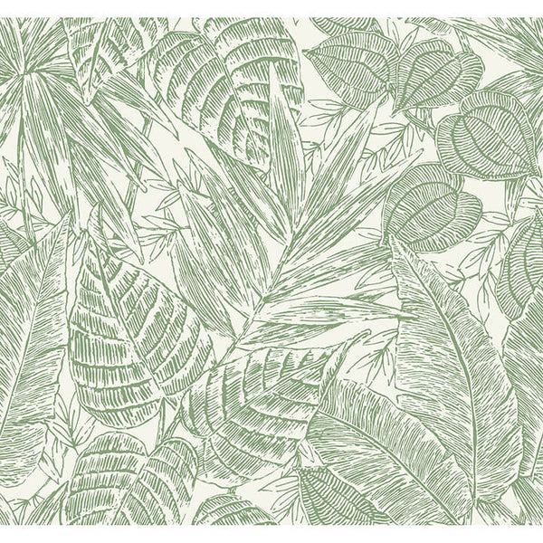 Brentwood - Green Residential Wallcovering | Jeffrey Stevens