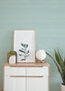 Agave, Aqua