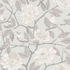 Bernadina, Grey