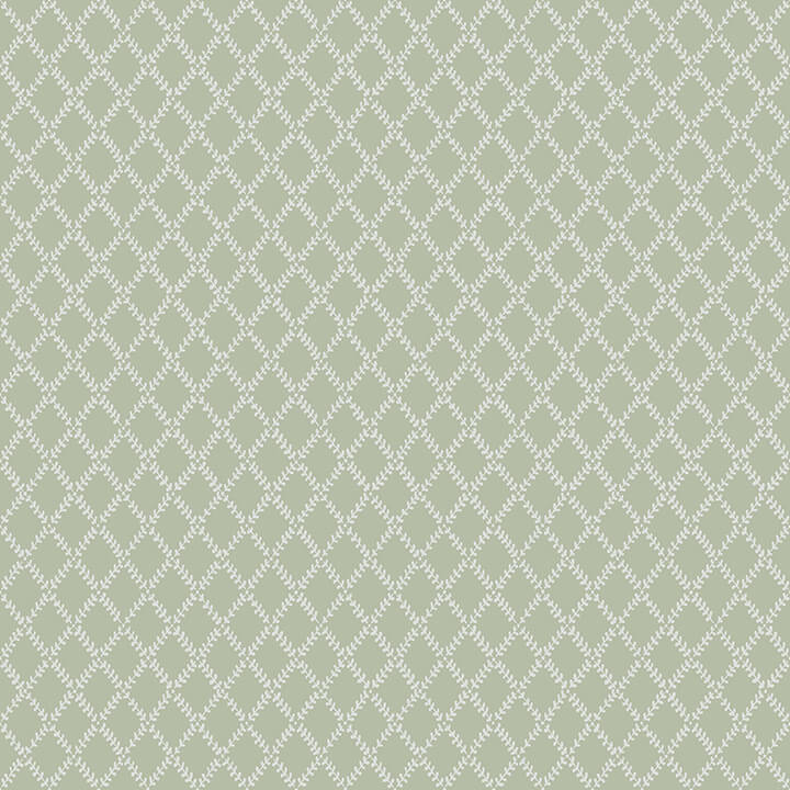 Agave, Stone