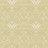 Agave, Cream