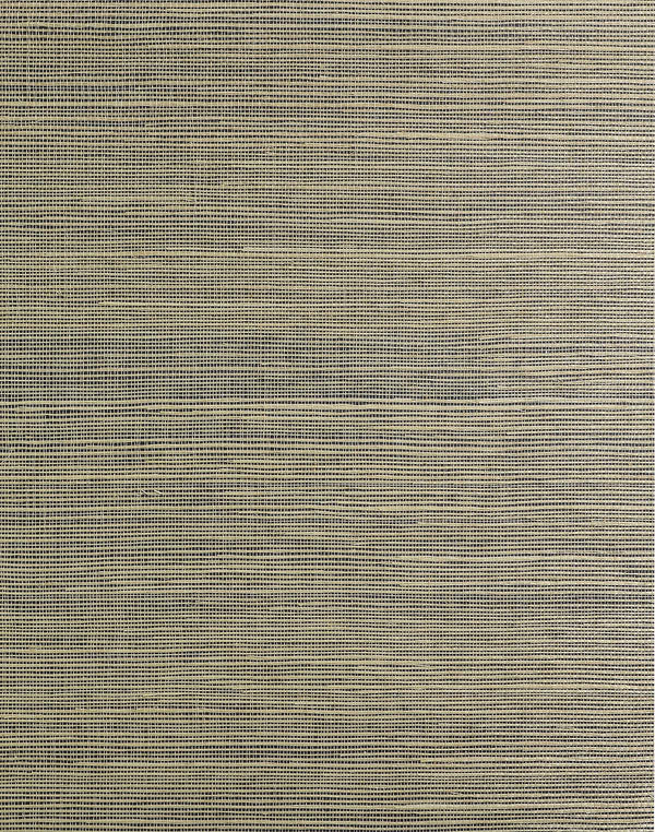 Talia Sisal Taupe | Phillipe Romano