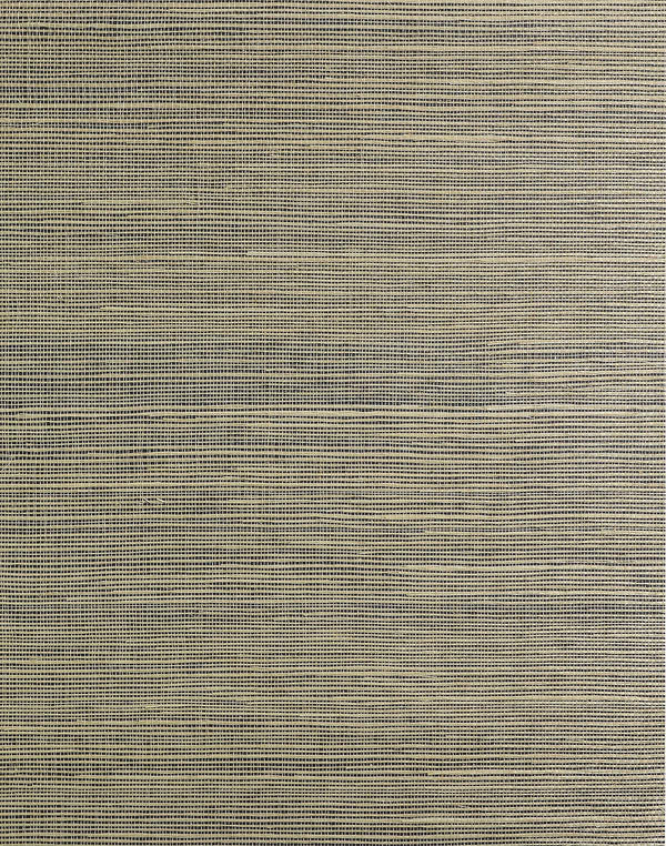 Talia Sisal Taupe | Phillipe Romano