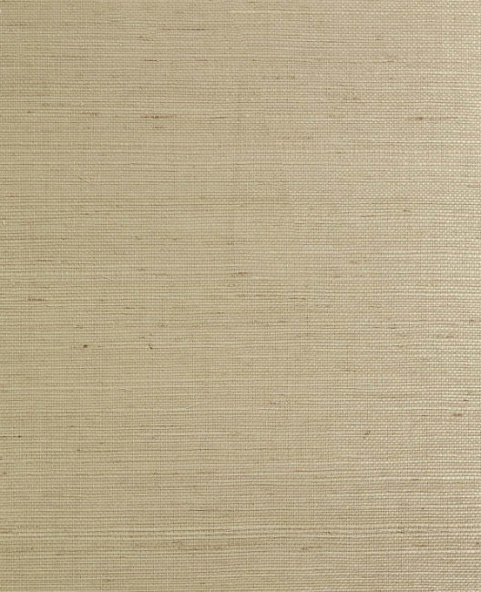 Malibu Sisal - Taupe | Phillipe Romano