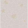 Divine, Taupe
