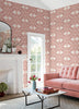 Villa, Raspberry