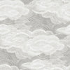 Vision, Grey