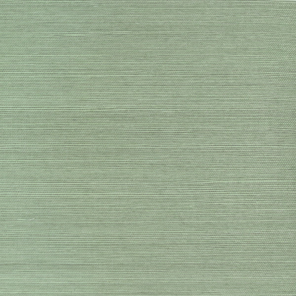 Enya Sisal Desert Sage | Phillipe Romano