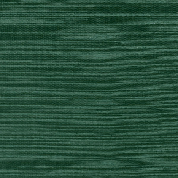 Savona Hunter Green | Phillipe Romano