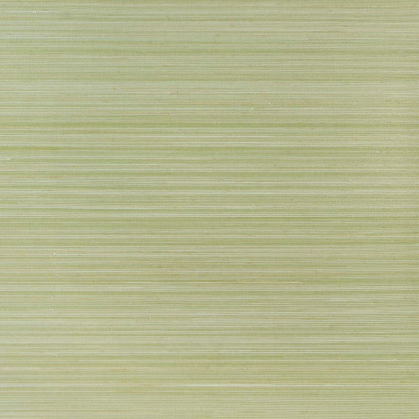 Anhe Abaca Apple Green | Phillipe Romano