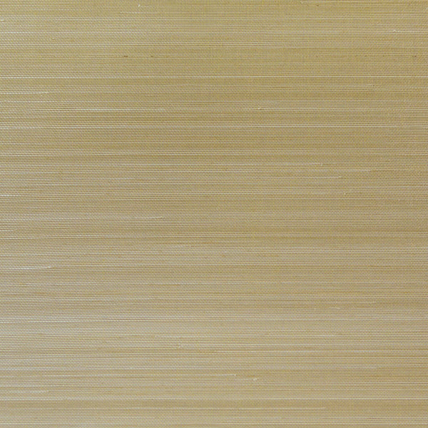 Bianca Ochre Gold | Phillipe Romano