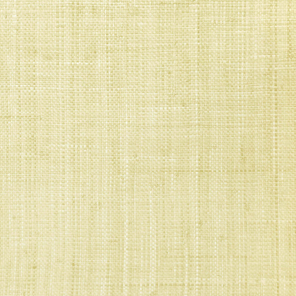 Meilian Raffia Lichen Green | Phillipe Romano