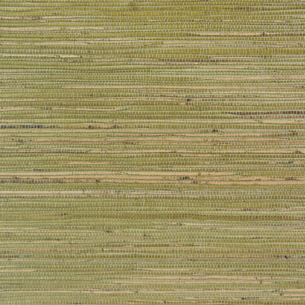 Meilin Grasscloth Moss | Phillipe Romano