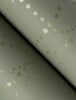 Alcott, Sage Green