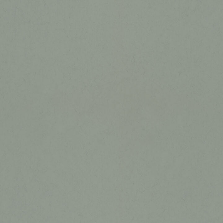 Parget Avokado, Gray