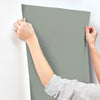 Parget Avokado, Gray
