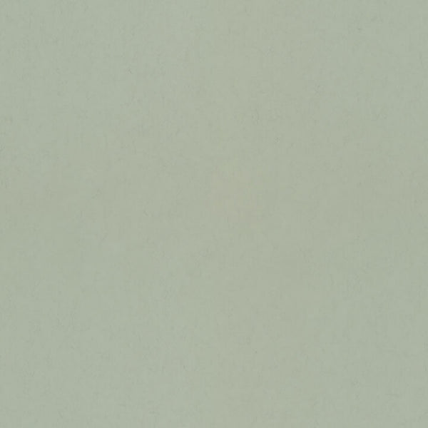Parget Vår, Sage Green Wallcoverings | Malibu Wallcovering