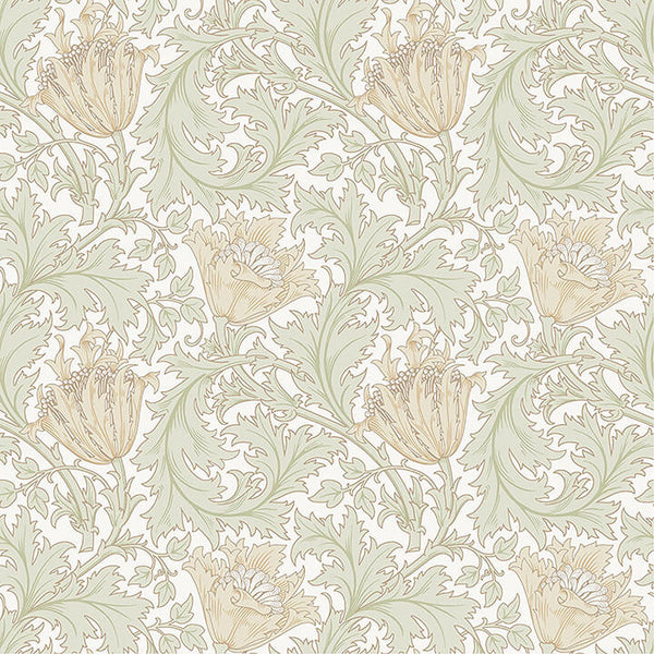 Anemone, Light Green Wallcoverings | Malibu Wallcovering