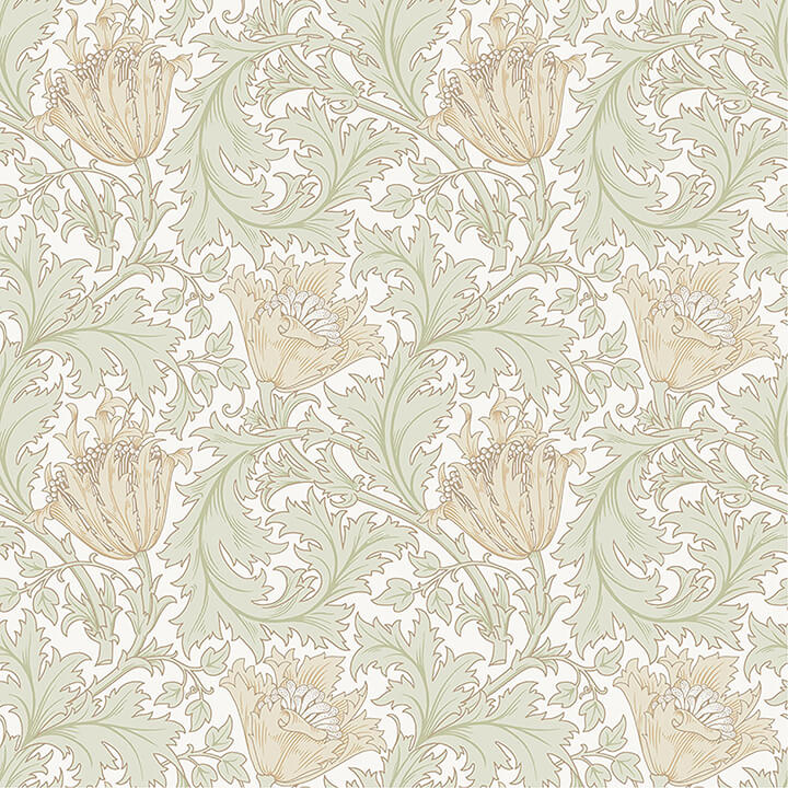 Anemone, Light Green