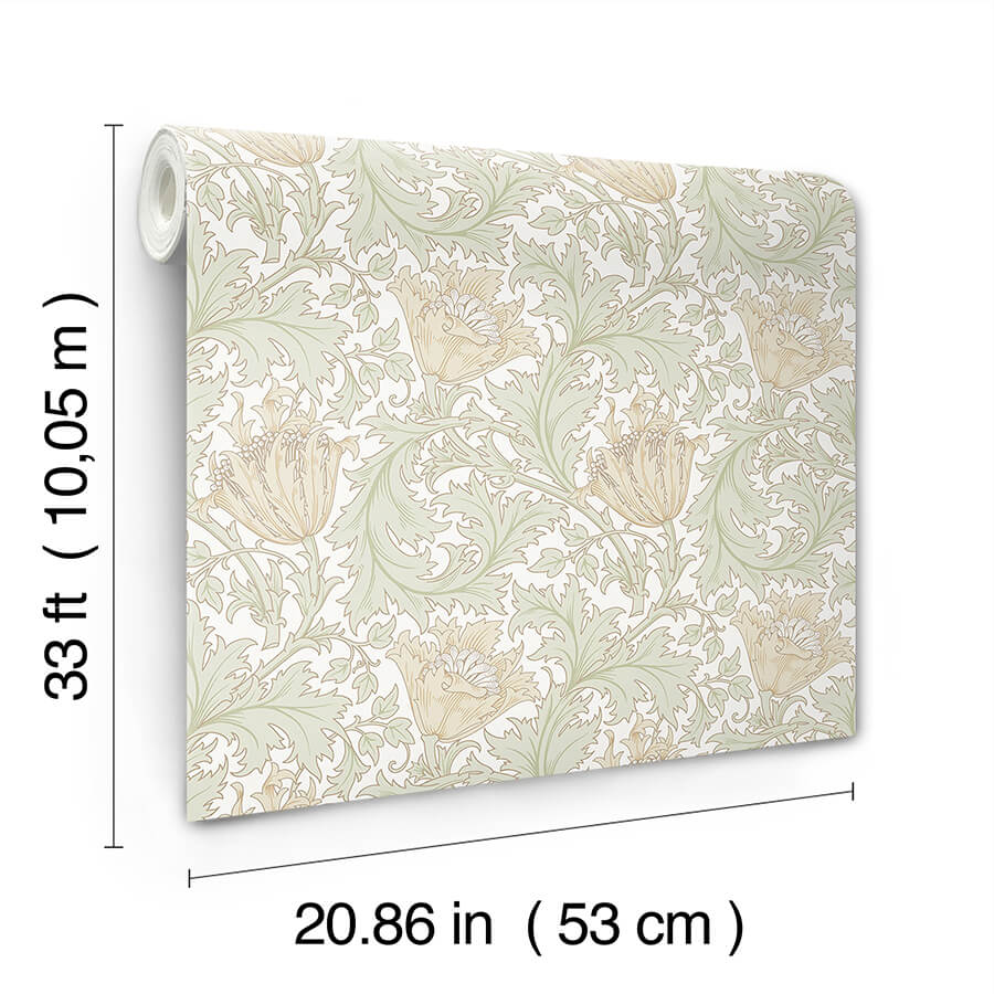 Anemone, Light Green