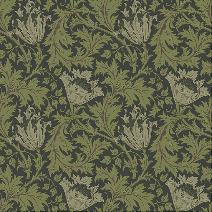 Anemone, Dark Green